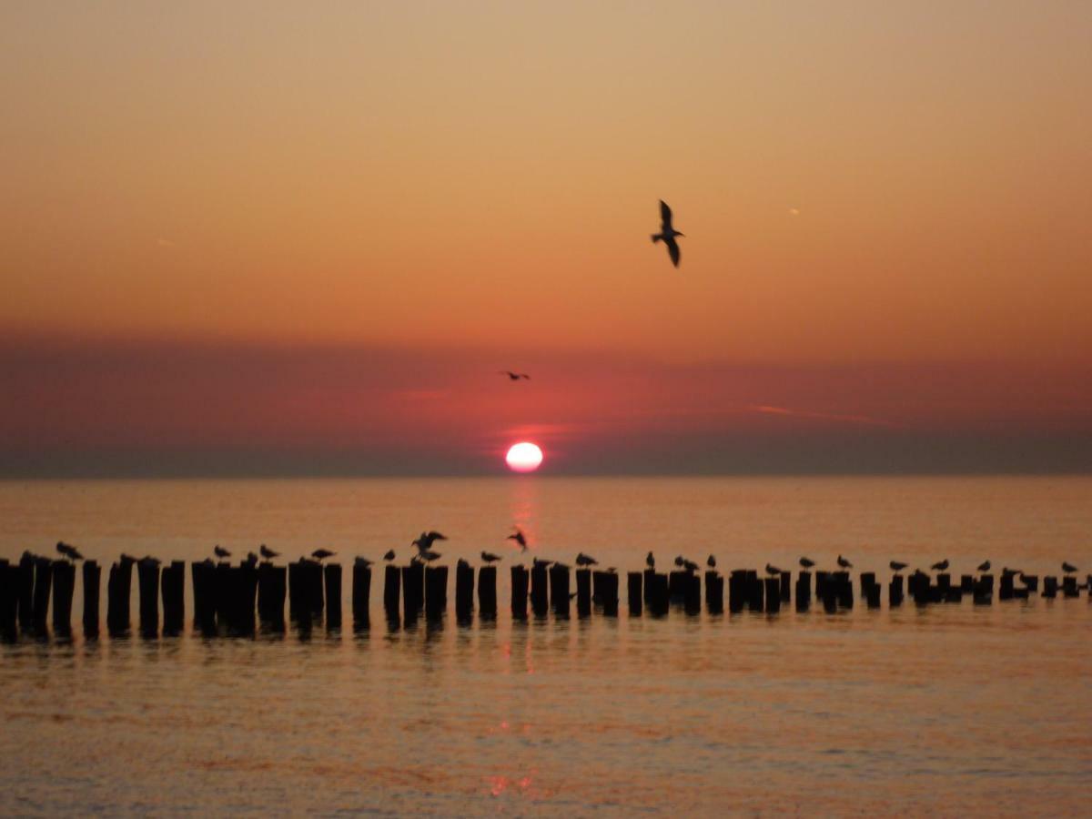 Vakantiehuis Domburg, Kindvriendelijk Do02 외부 사진